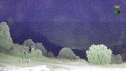 Webcams