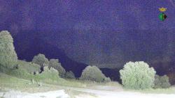 Webcams