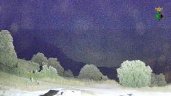 Webcams