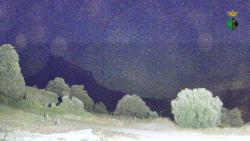 Webcams