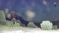 Webcams