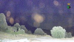 Webcams