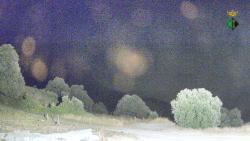 Webcams