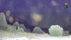 Webcams