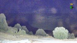Webcams