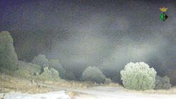 Webcams