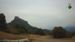 Webcams