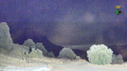 Webcams