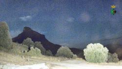Webcams