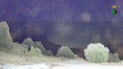 Webcams