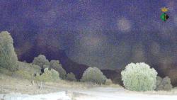 Webcams