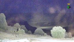 Webcams