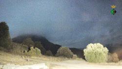 Webcams
