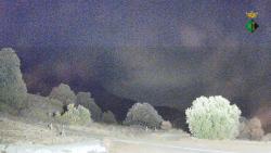 Webcams