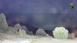 Webcams