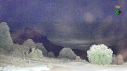 Webcams