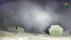 Webcams