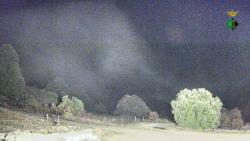 Webcams