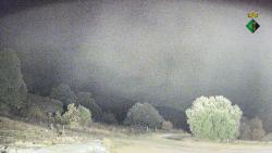Webcams
