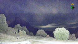 Webcams