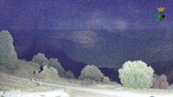 Webcams