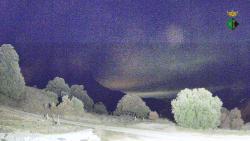 Webcams