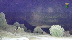 Webcams