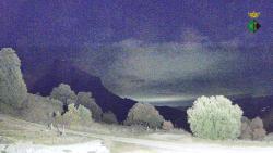 Webcams
