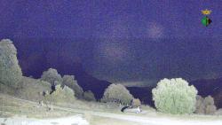 Webcams