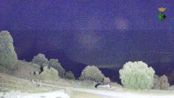 Webcams