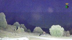 Webcams