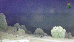 Webcams