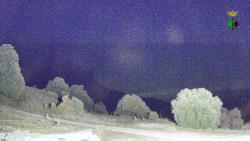 Webcams
