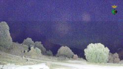 Webcams