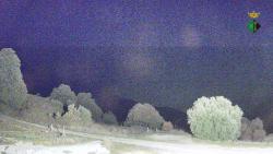 Webcams