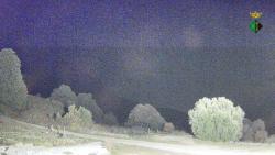Webcams