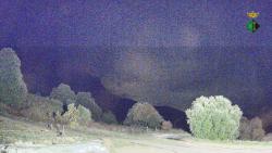 Webcams