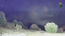 Webcams
