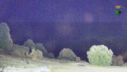 Webcams