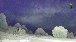 Webcams