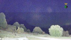 Webcams