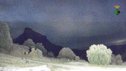 Webcams