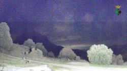 Webcams