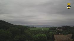 Webcams