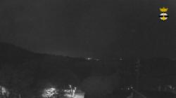 Webcams