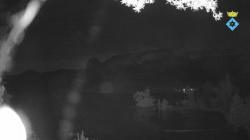 Webcams