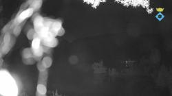 Webcams