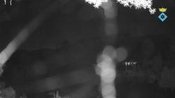 Webcams