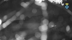 Webcams