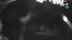 Webcams